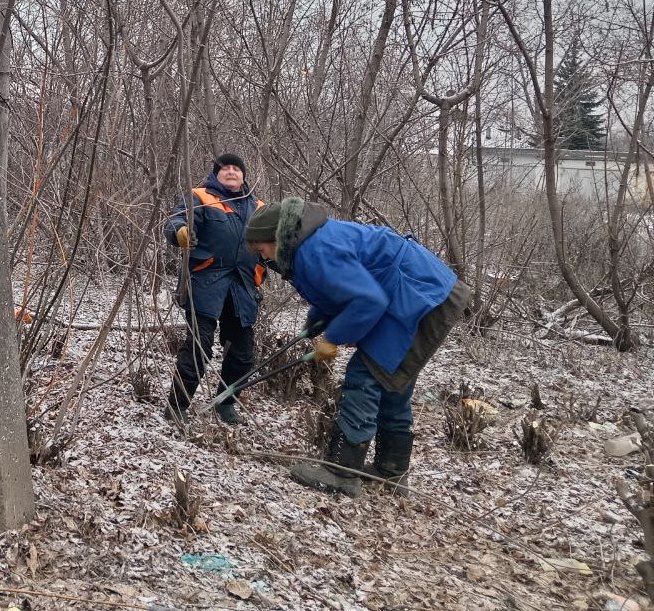 ������������ ������ �������� ������ �� ���������� ������