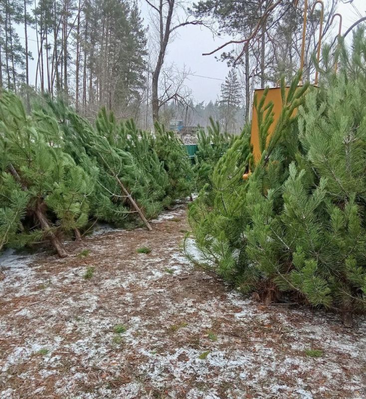 Информация для жителей округа!