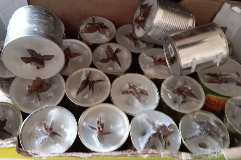 Волонтёрский пункт «Всё для Победы» наладил взаимодействие с волонтёрами Ярославля Волонтёрский пункт «Всё для Победы» наладил взаимодействие с волонтёрами Ярославля