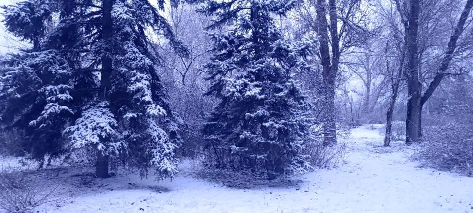 �������: ���� � ��������. ��� � ������ � ������ ���� ����, ��� ������ ����� �������� ��������� � ������������