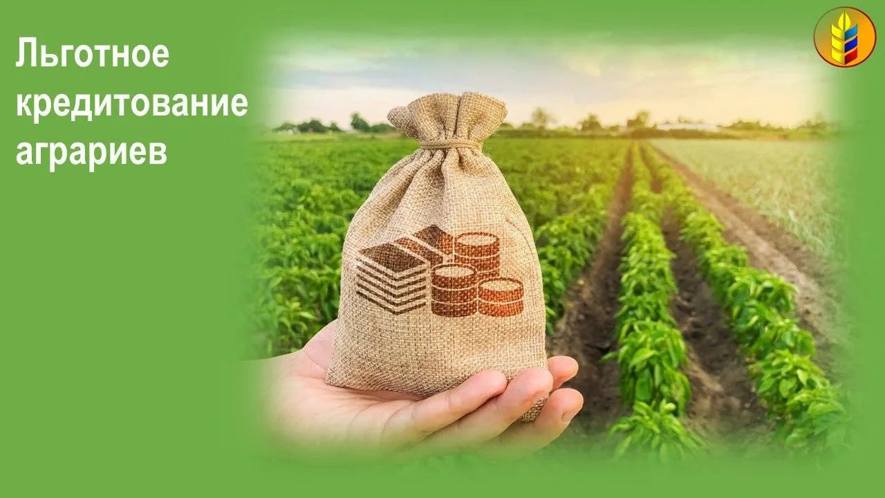 Льготное кредитование для аграриев ЛНР: от точечной поддержки к системному развитию отрасли