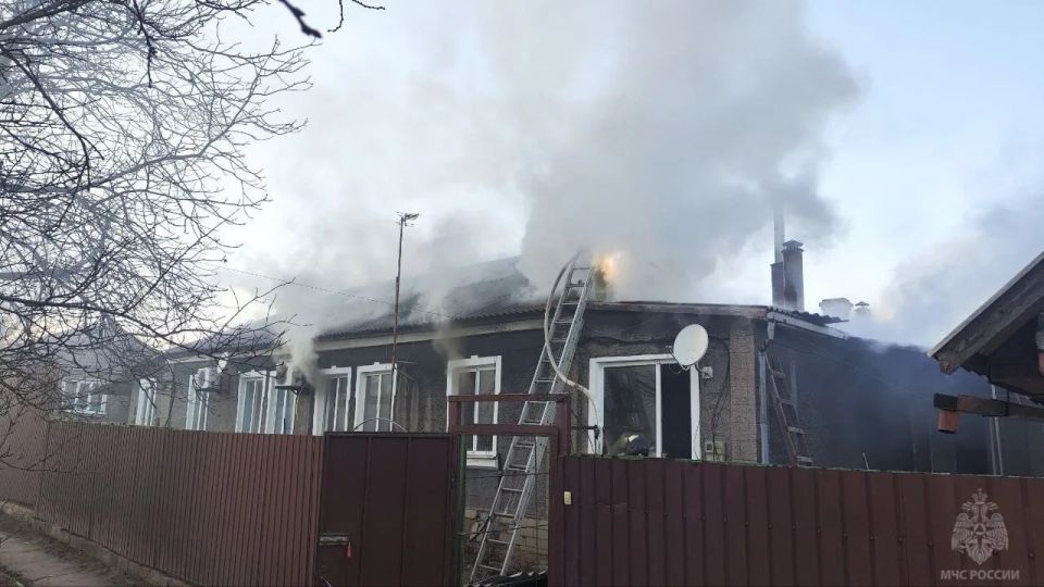 � �������� ��������� ����� ���