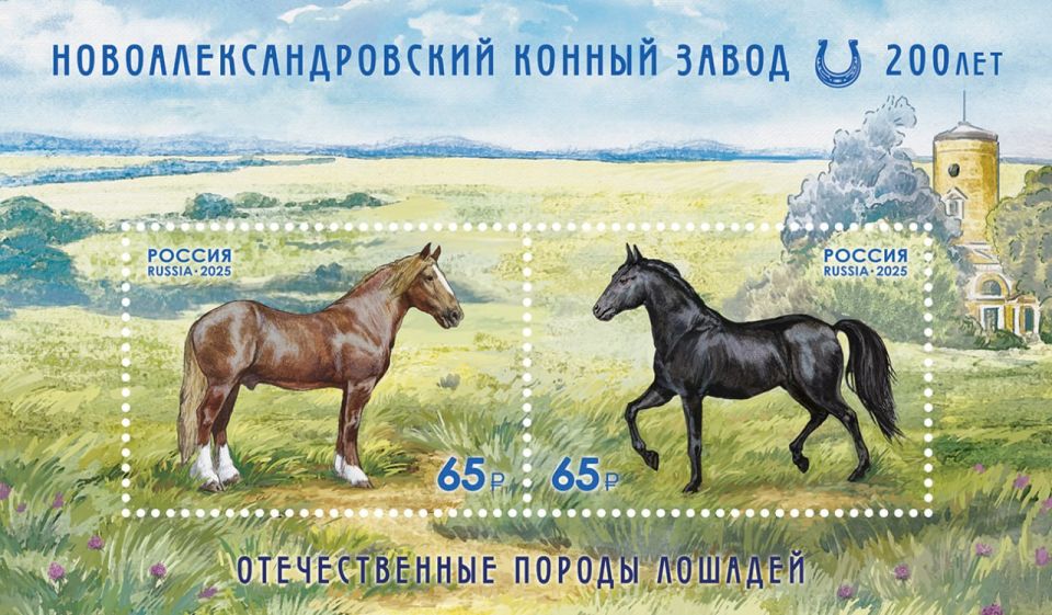 ������!. ����� �������� ����� � 3 ������ �������� ���������� �� ������������� ���������: ������� � ������� ��������� ��� 15-19