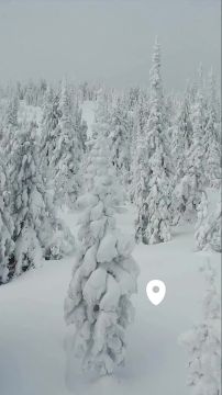 Доброе утро, Великая страна!