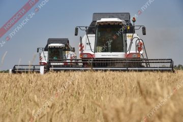 Программа льготного лизинга для предпринимателей в новых регионах продлена до конца 2026 года