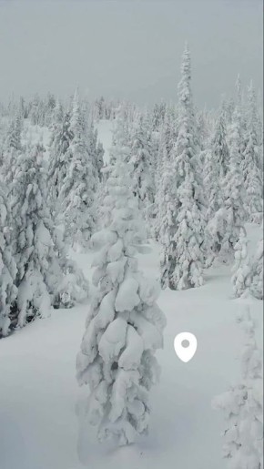 Доброе утро, Великая страна!