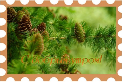 Пусть утро начнется с теплых лучей солнца и предвкушения праздника