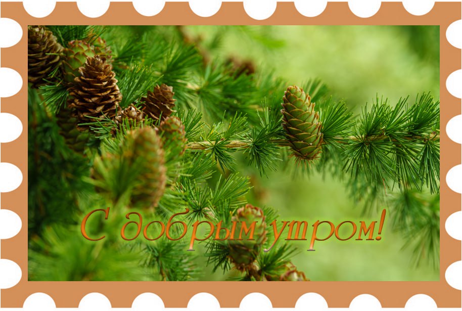 Пусть утро начнется с теплых лучей солнца и предвкушения праздника