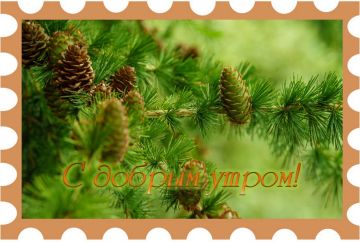 Пусть утро начнется с теплых лучей солнца и предвкушения праздника