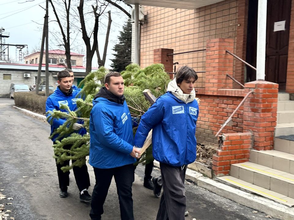 «Единая Россия» доставляет новогодние ёлки в детские учреждения республики «Единая Россия» доставляет новогодние ёлки в детские учреждения республики
