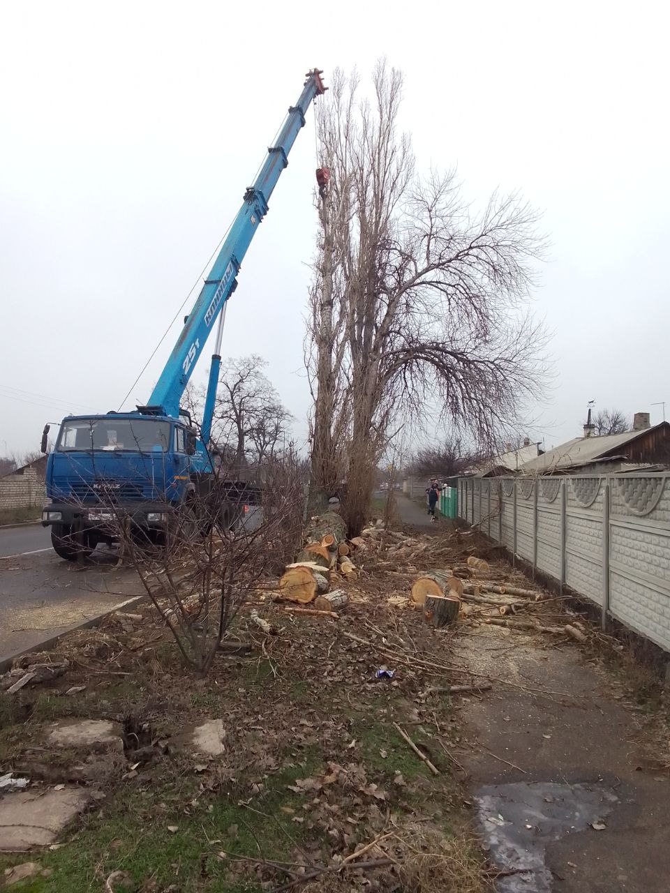 18 декабря специалисты из Курганской области филиала «Шадринские электрические сети» АО «СУЭНКО» успешно завершили работы по обрезке трёх деревьев на улице Октябрьская в Краснодоне 18 декабря специалисты из Курганской области филиала «Шадринские электрические сети» АО «СУЭНКО» успешно завершили работы по обрезке трёх деревьев на улице Октябрьская в Краснодоне