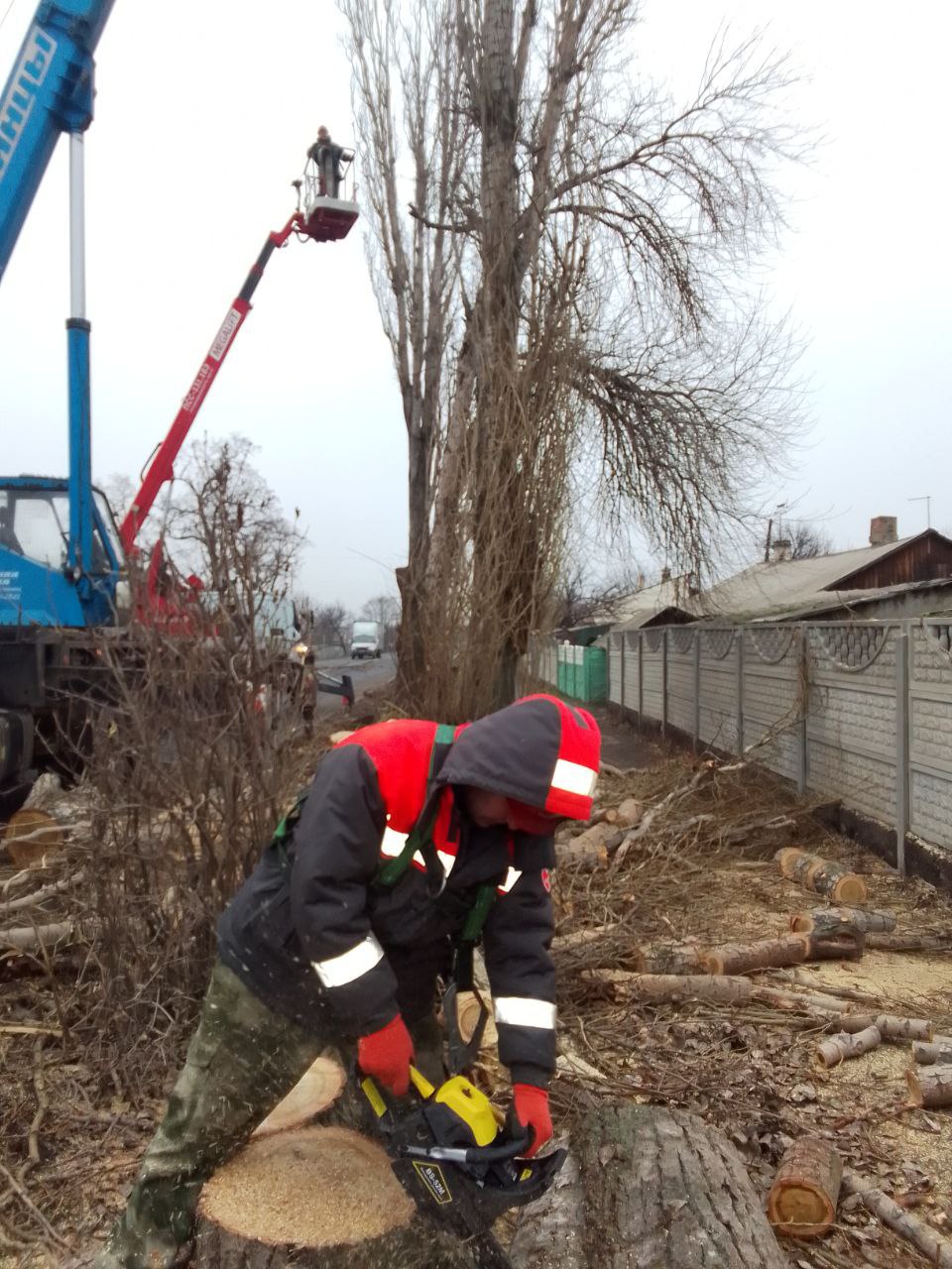 18 декабря специалисты из Курганской области филиала «Шадринские электрические сети» АО «СУЭНКО» успешно завершили работы по обрезке трёх деревьев на улице Октябрьская в Краснодоне