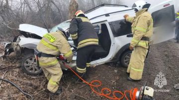 � ����������� �������� ������ ������� ����� ���