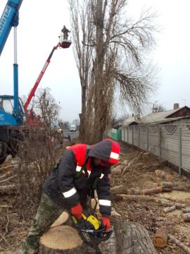 18 декабря специалисты из Курганской области филиала «Шадринские электрические сети» АО «СУЭНКО» успешно завершили работы по обрезке трёх деревьев на улице Октябрьская в Краснодоне