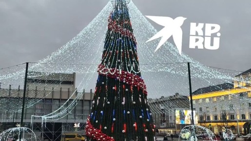 Раз, два три, ёлочка гори!