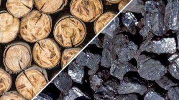 ������ �������: �� 31 ������� ������ ������������ �������� ����� ����������� �������� �������� ������ ��� ������������ ���� � ����