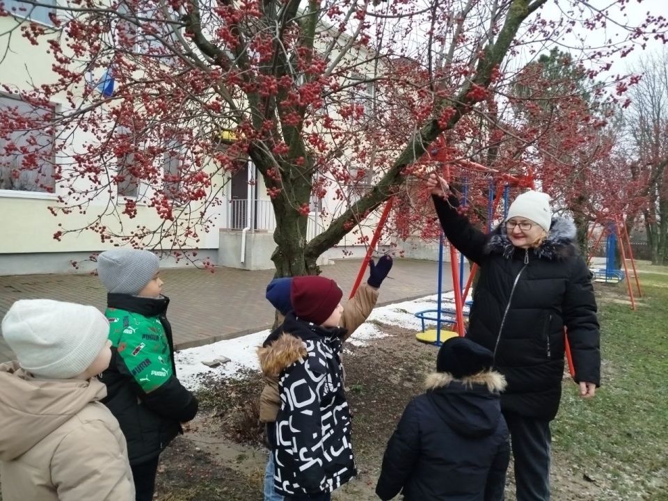 Сегодня в ГБДОУ ЛНР «Беловодский ЯС №2 «Радуга» прошел День родительского самоуправления Сегодня в ГБДОУ ЛНР «Беловодский ЯС №2 «Радуга» прошел День родительского самоуправления