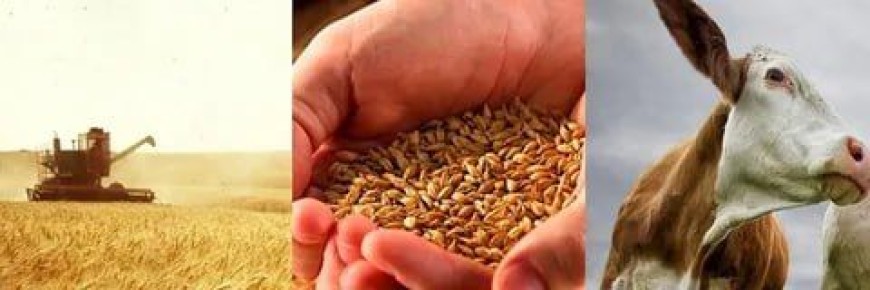 ������ ����! ���������� �� �������, ������� ��������� ������� 19 ������� 2025 � 10:00