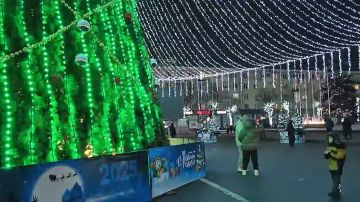 Каждое утро — это время начать жизнь снова