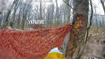 �������� ���������. ��������� �� ����� | ��������� �� ��� ��������� | �������c����� @luganmedia