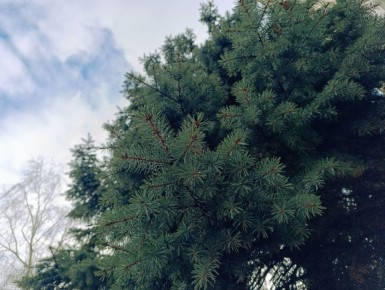 � ������ �����, ���������!