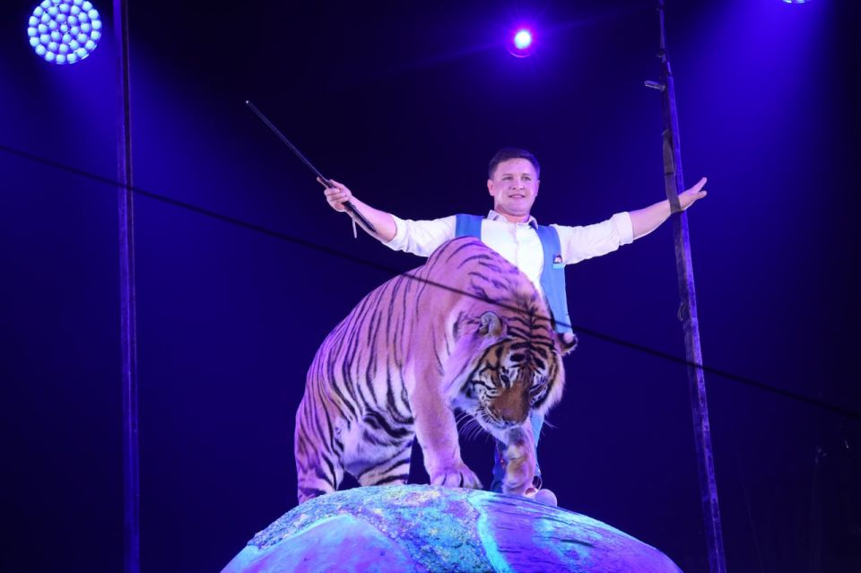 � ��������� ��������������� ����� ���������� ���������� ������