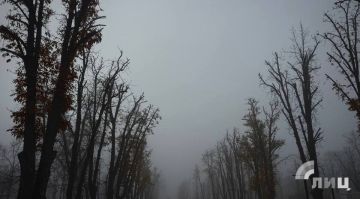 ��������� ������������ 21 ������� � ��� �� 5 �������� ������ ����� �� 4 �������� ����� ����, ��� ������������ �������, � ��������� ������� �����