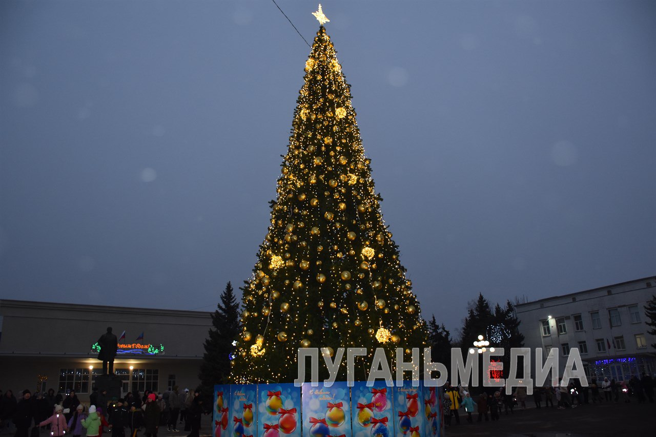 В Первомайске состоялось торжественное открытие главной новогодней елки муниципалитета В Первомайске состоялось торжественное открытие главной новогодней елки муниципалитета
