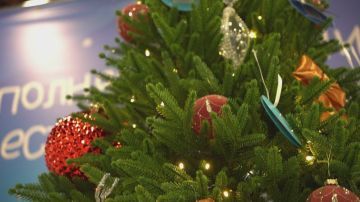 Иван Кусов: Следуя доброй традиции, вместе с коллегами из 4-х министерств посетили «Ёлку желаний», подготовленную Движением Первых