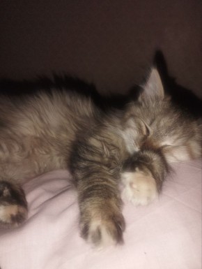 23 декабря на территории Луганской Народной Республики будет облачно с прояснениями