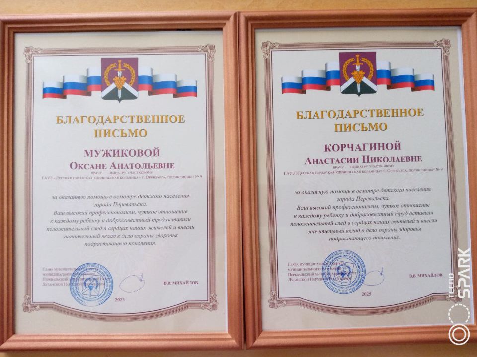 Награждение благодарственными письмами врачей педиатров из Оренбурга Награждение благодарственными письмами врачей педиатров из Оренбурга
