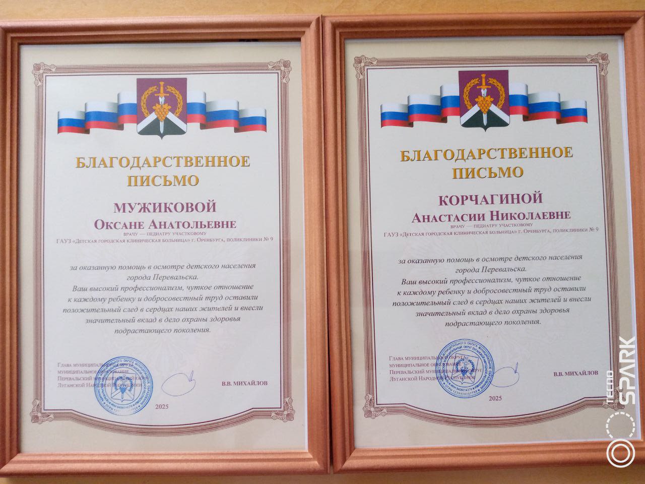 Награждение благодарственными письмами врачей педиатров из Оренбурга Награждение благодарственными письмами врачей педиатров из Оренбурга
