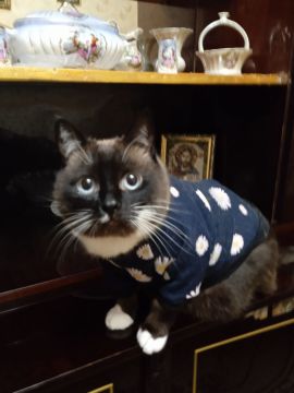 24 ������� �� ���������� ��������� �������� ���������� ����� ������� � ������������