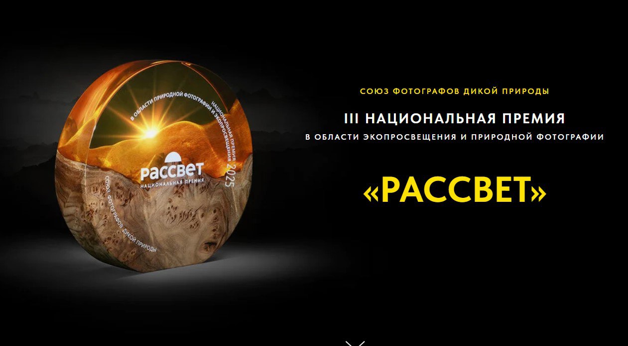 Союз фотографов дикой природы приглашает принять участие в III национальной премии в области экопросвещения и природной фотографии «Рассвет»