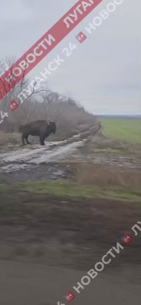 ������������� �������� �������� � ������ ��������