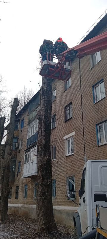 На Краснодонщине специалисты филиала «Шадринские электрические сети» АО «СУЭНКО» из Курганской области проводят работы по обрезке аварийных деревьев На Краснодонщине специалисты филиала «Шадринские электрические сети» АО «СУЭНКО» из Курганской области проводят работы по обрезке аварийных деревьев