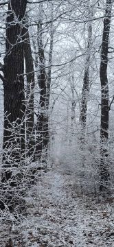 ��������� ������������ 26 ������� � ��� �� 13 �������� ������ ����� �� ����� 1 ������� ����, ��������� ����, ������� �������, � ������ � �����-������ �������� ���������� ��� ������ �� ���