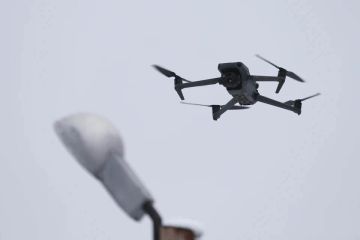 � ������� �������� ������� ��������� ���� FPV-���� ���