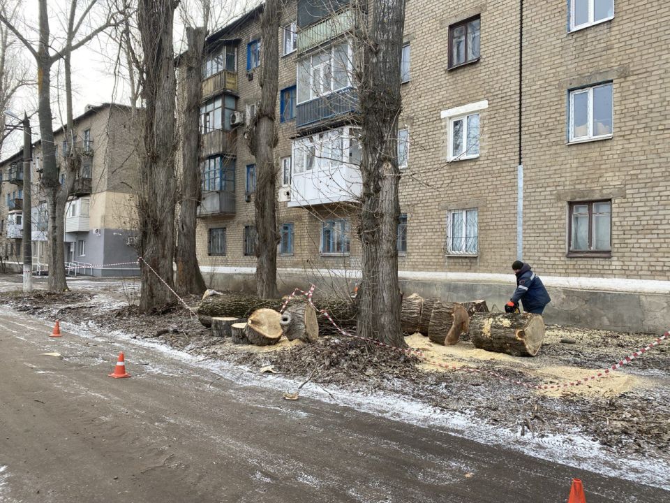 На Краснодонщине специалисты филиала «Шадринские электрические сети» АО «СУЭНКО» из Курганской области проводят работы по обрезке аварийных деревьев На Краснодонщине специалисты филиала «Шадринские электрические сети» АО «СУЭНКО» из Курганской области проводят работы по обрезке аварийных деревьев