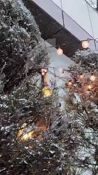 � ��� ������� �������� �������� � �����