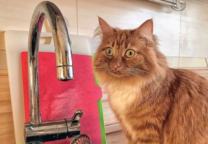 ��������������� ��������� ����������� "�����������" ������� ������, �� ������� 26 ������� �������� ����������� ������ ���� ��-�� ��������� �����