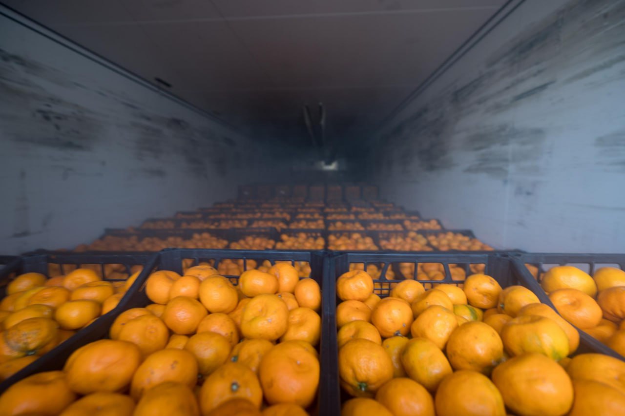 Свыше 18 тонн мандаринов в преддверии новогодних праздников отправила в Лисичанск и Рубежное мэрия Казани Свыше 18 тонн мандаринов в преддверии новогодних праздников отправила в Лисичанск и Рубежное мэрия Казани