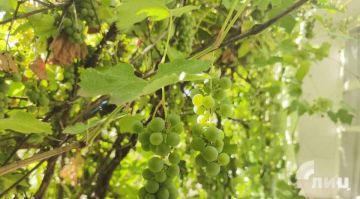 �������������� ��������� � ������������ ������ �������� ���� ��� ������ ��������