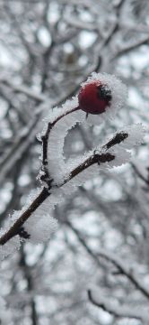 ��������� ������������ 29 ������� � ��� �� 6 �������� ������ ����� �� 1 ������� ����� ����, ������� ��������� ������ ����, ����� � ����������