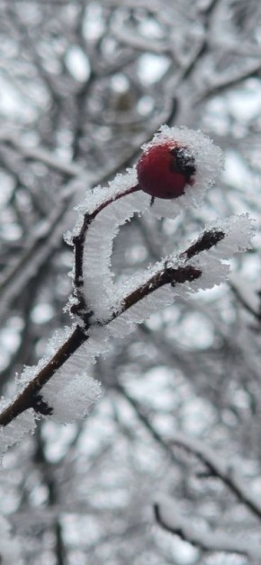 ��������� ������������ 29 ������� � ��� �� 6 �������� ������ ����� �� 1 ������� ����� ����, ������� ��������� ������ ����, ����� � ����������