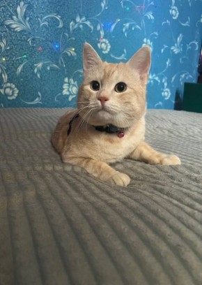 29 ������� �� ���������� ��������� �������� ���������� ����� ������� � ������������