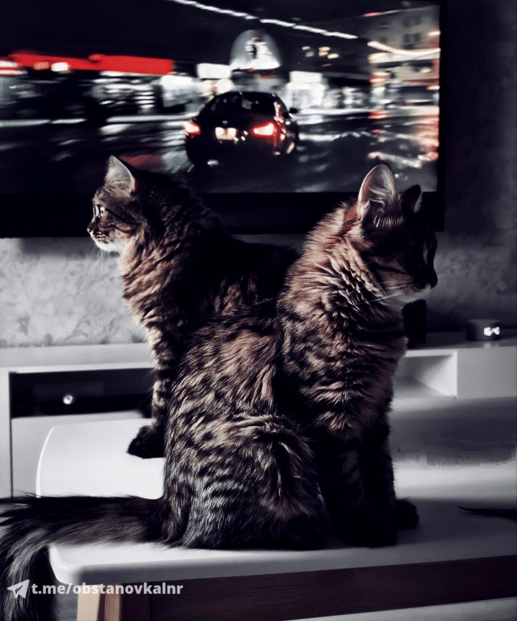 28 декабря на территории Луганской Народной Республики будет облачно с прояснениями