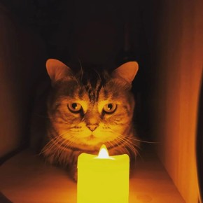 В январе в ЛНР возможны отключения света