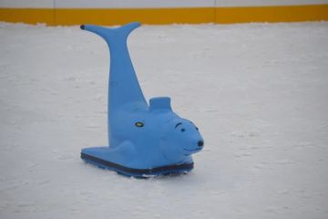 Лёд раздора: Синтетический каток в Луганске – едет или нет?