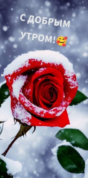 С ДОБРЫМ УТРОМ, СВАТОВСКИЙ ОКРУГ!